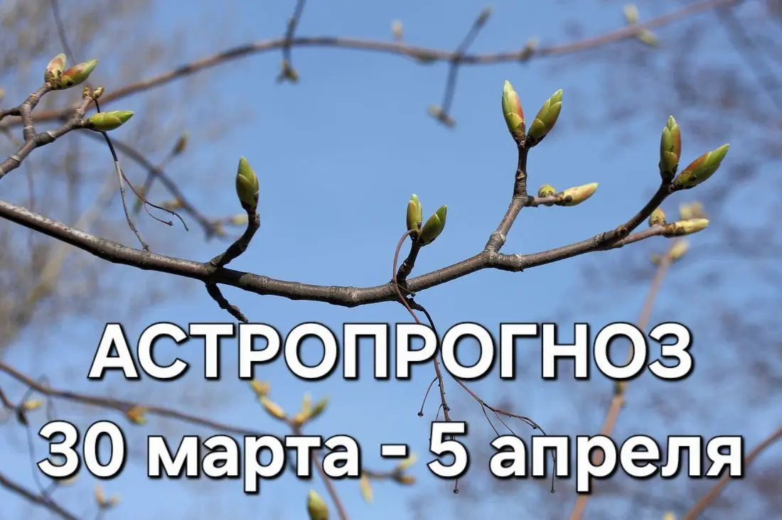 ТЕМА ЖЕЛАНИЙ И ЛИЧНЫХ ГРАНИЦ
Уже сегодня Венера покидает знак Овен и переходит в Телец. Венера всегда про выбор. Про наши желания и предпочтения | Сетка — социальная сеть от hh.ru
