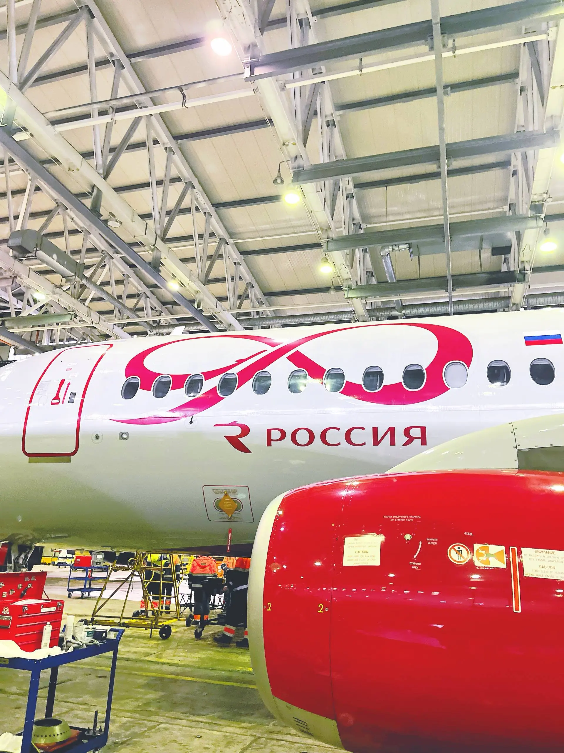 Одна из индивидуальных ливрей авиакомпании «Россия» ✈️ | Сетка — социальная сеть от hh.ru