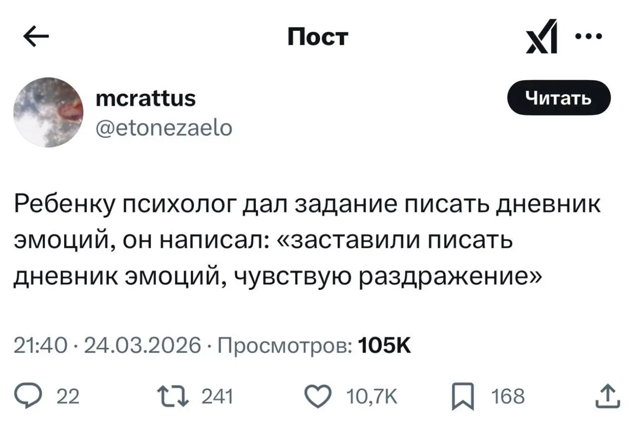 100% понимания этому малышу.
Тот случай, когда ребёнок честнее большинства проработанных в терапии взрослых. | Сетка — социальная сеть от hh.ru