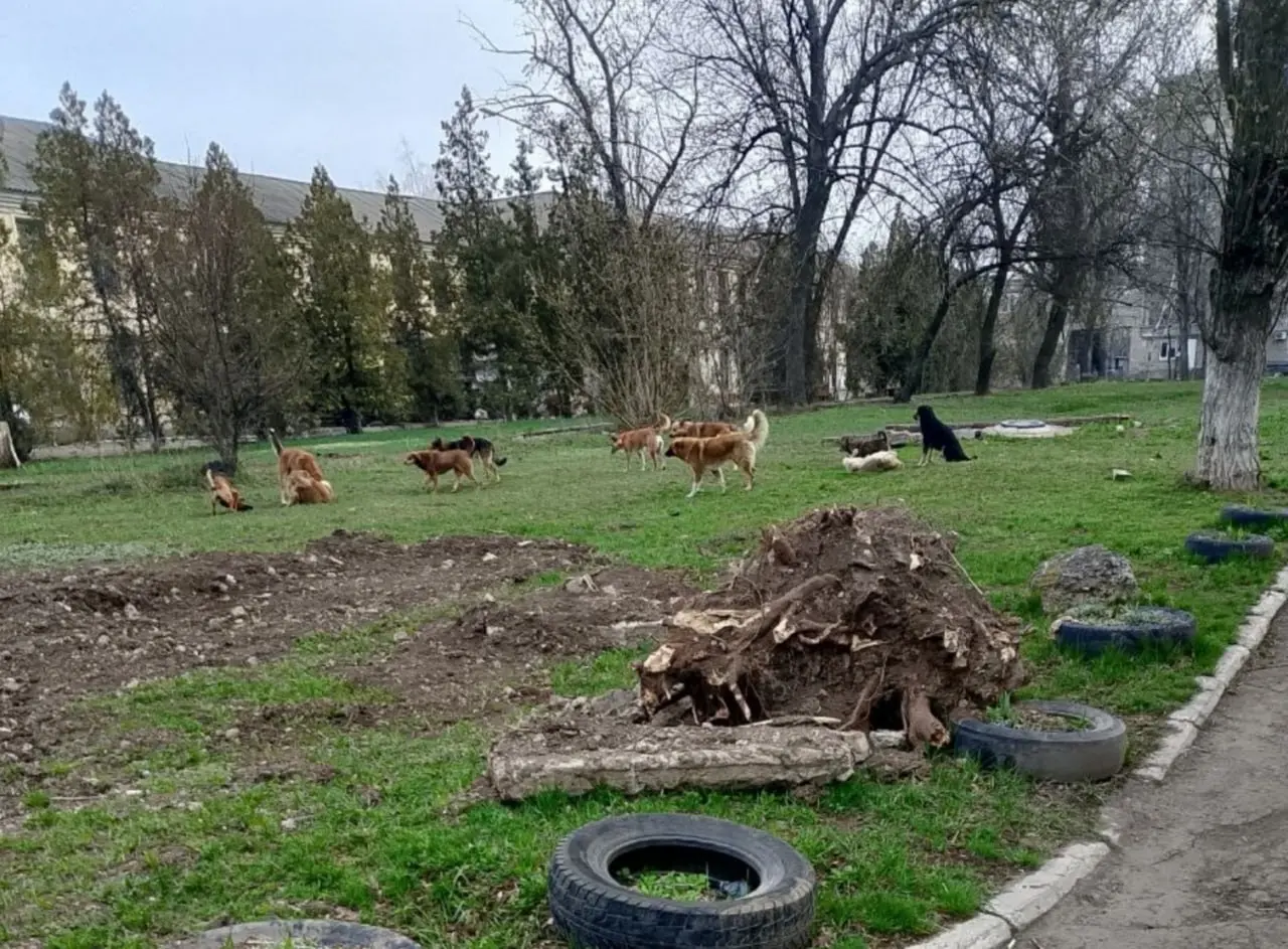 Просто двор больницы номер 5 на Гвардейке | Сетка — социальная сеть от hh.ru
