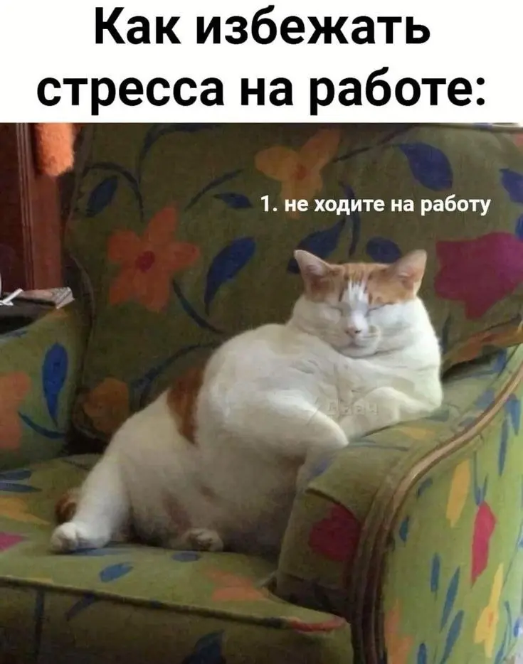 Проверяли такой лайфхак? Работает? | Сетка — социальная сеть от hh.ru