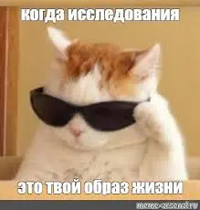 Клиенты «сливаются», хотя вы уверены, что у вас все выстроено идеально 🤷‍♀️
Вроде всё сделали: сайт работает, менеджеры вежливые, продукт качественный, а клиенты всё равно уходят | Сетка — социальная сеть от hh.ru