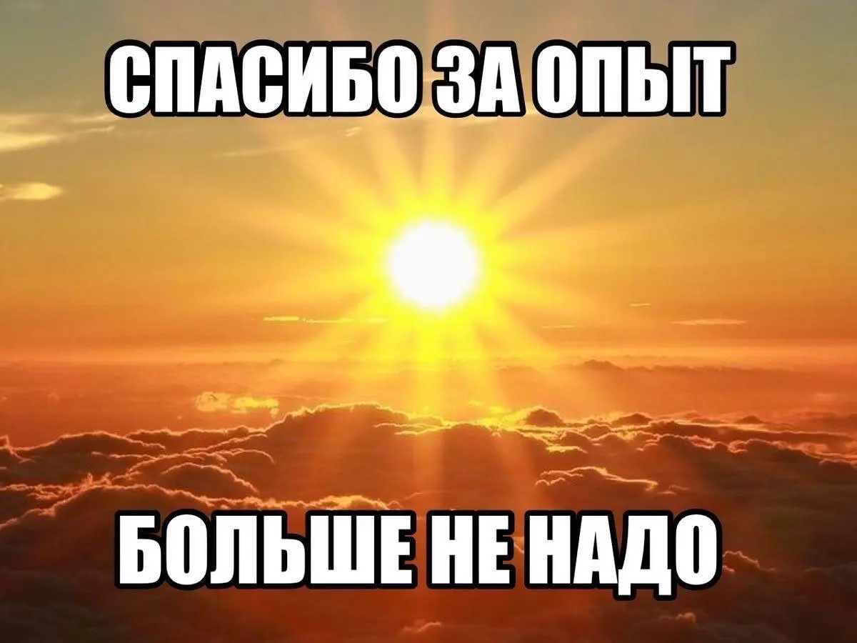 Вторничная доза жизы подъехала 😭 | Сетка — социальная сеть от hh.ru