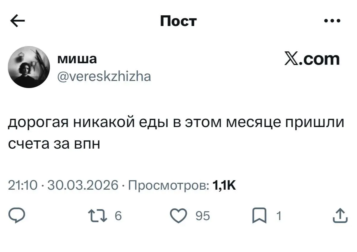 Скоро в каждой семье страны 💀 | Сетка — социальная сеть от hh.ru