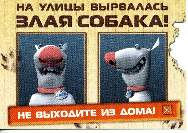 Реклама онлайн-магазина «OZON», 2005 год. | Сетка — социальная сеть от hh.ru