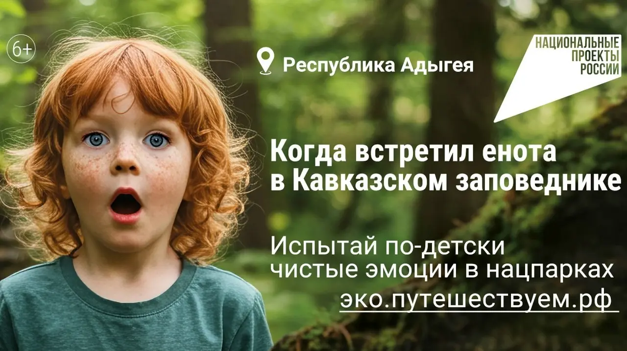 🌳🌲Заповедные территории – это национальное богатство страны. Развивать особо охраняемые природные территории нашей страны помогает национальный проект «Экологическое благополучие» | Сетка — социальная сеть от hh.ru