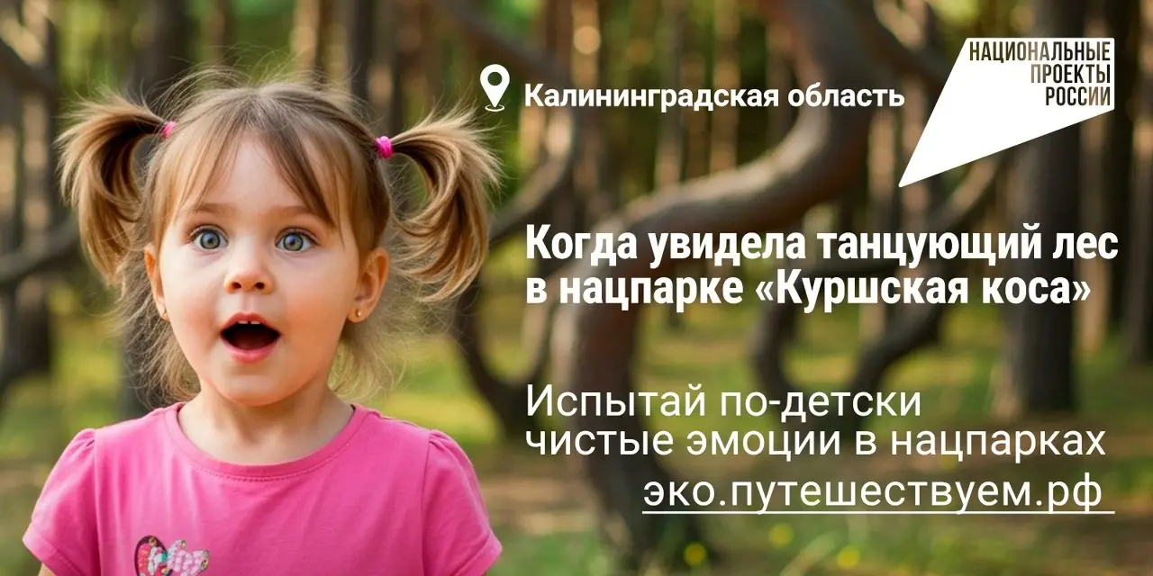 🌳🌲Заповедные территории – это национальное богатство страны. Развивать особо охраняемые природные территории нашей страны помогает национальный проект «Экологическое благополучие» | Сетка — социальная сеть от hh.ru