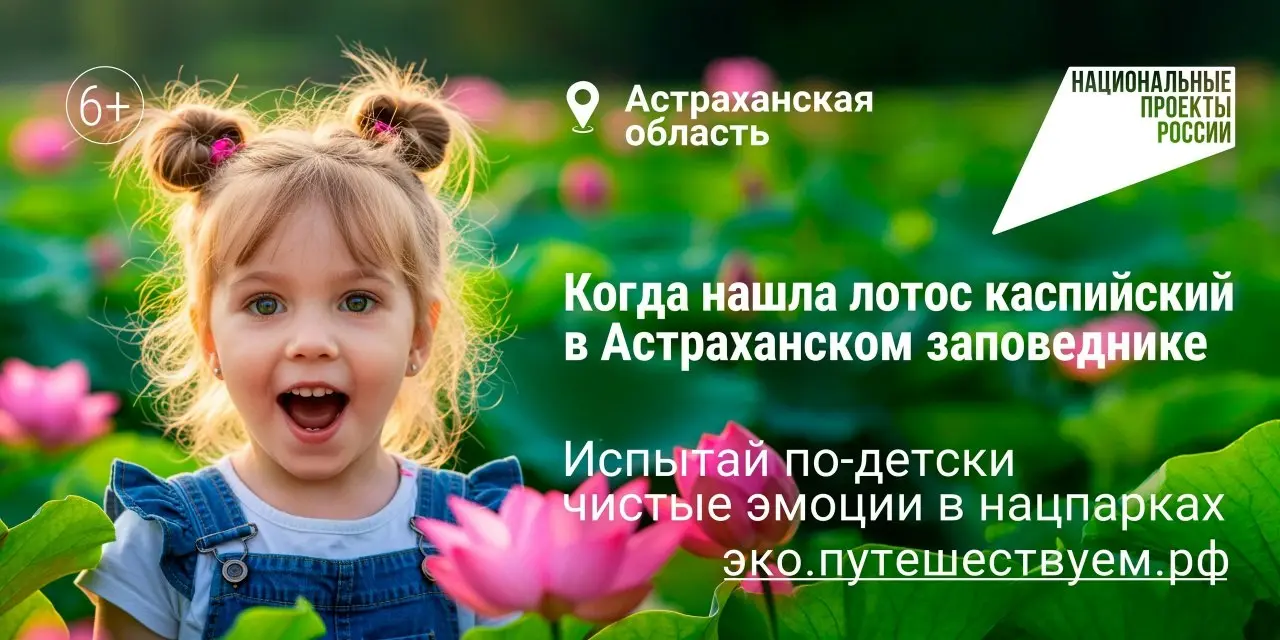 🌳🌲Заповедные территории – это национальное богатство страны. Развивать особо охраняемые природные территории нашей страны помогает национальный проект «Экологическое благополучие» | Сетка — социальная сеть от hh.ru