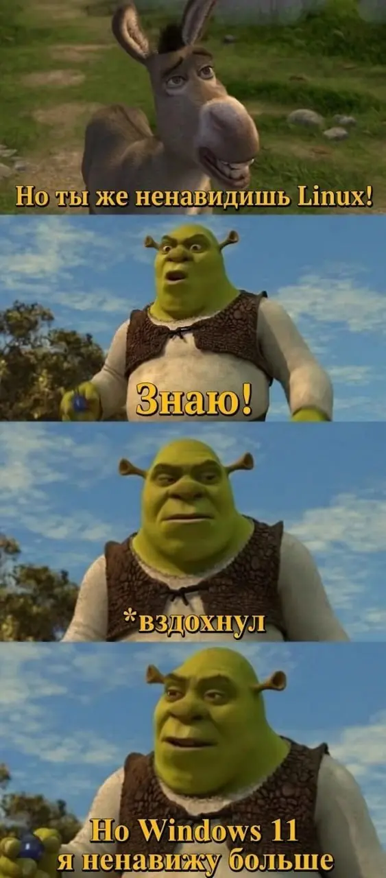 Подпишись, ну чего ты? 🌚 | Сетка — социальная сеть от hh.ru
