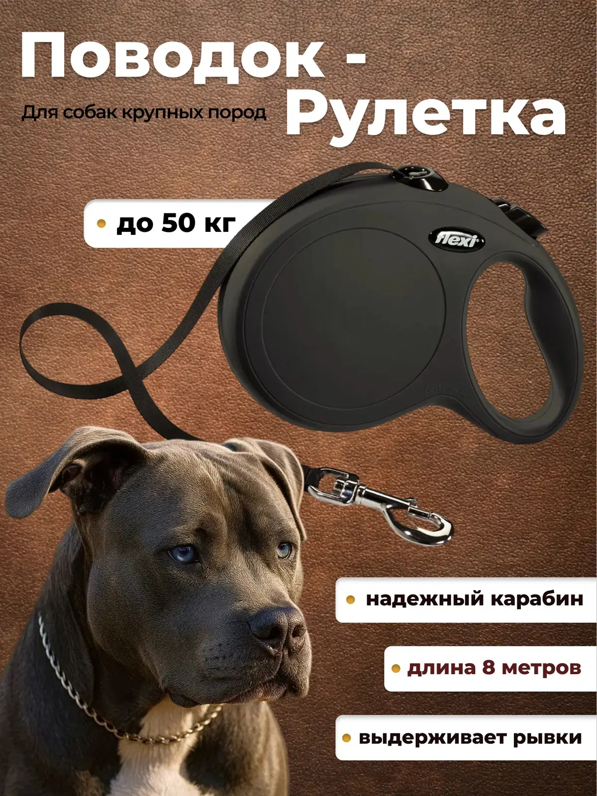 Инфографика для поводка рулетки. | Сетка — социальная сеть от hh.ru