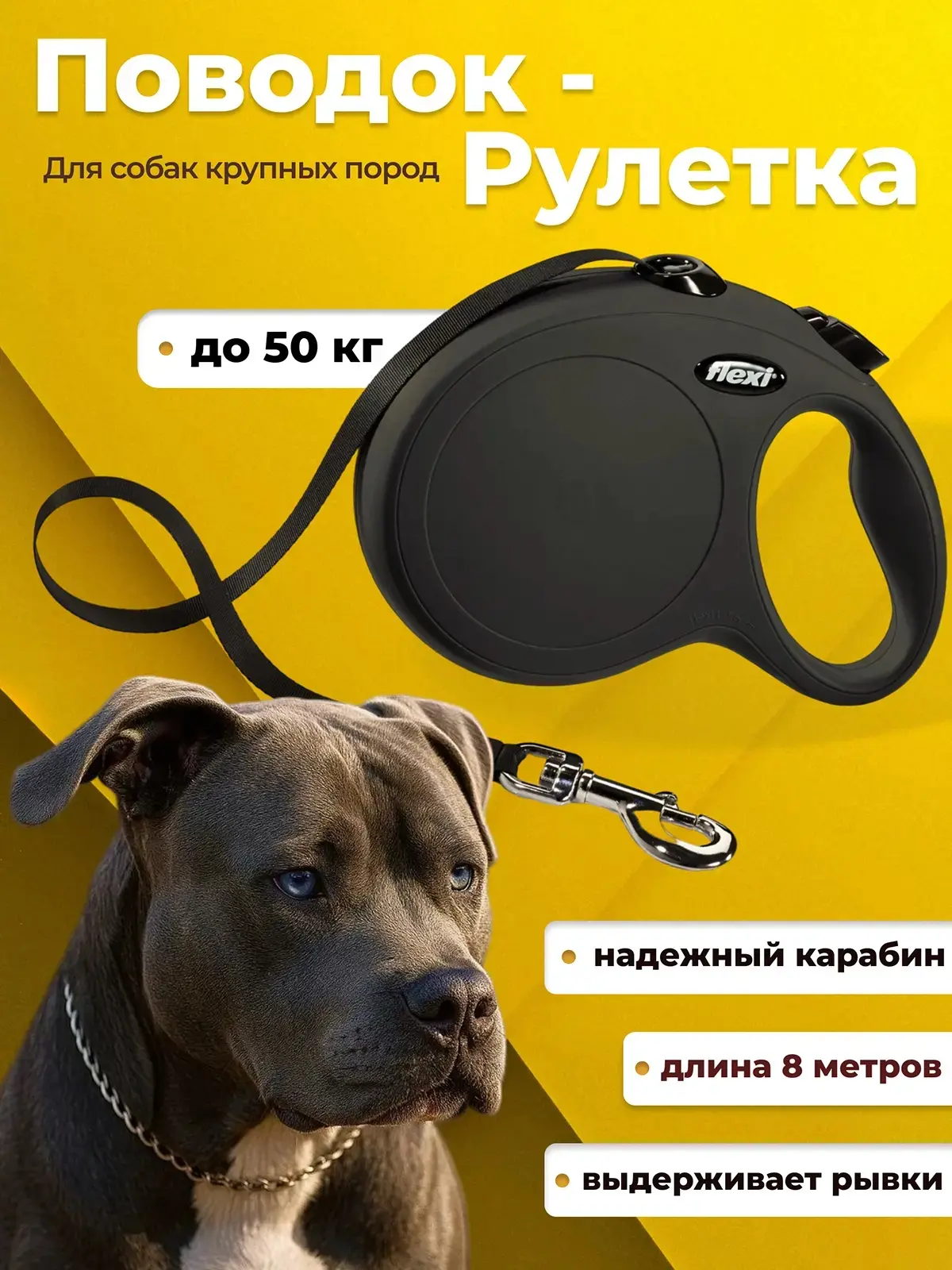 Инфографика для поводка рулетки. | Сетка — социальная сеть от hh.ru