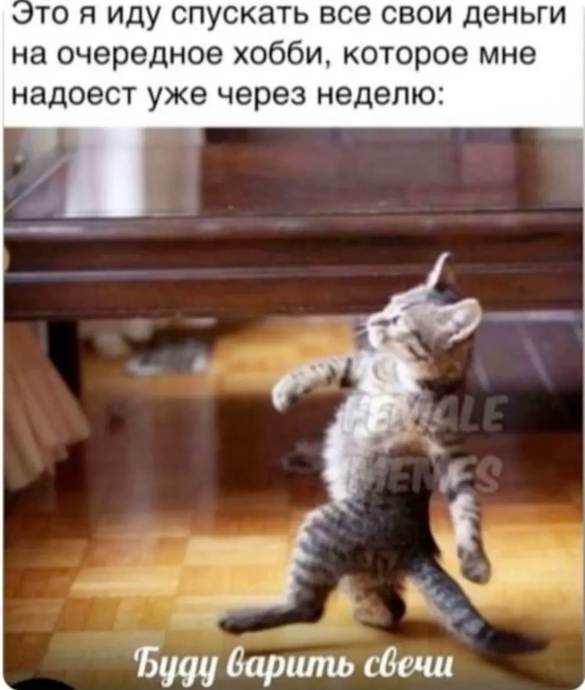 Хобби… 5 букв, сколько смысла | Сетка — социальная сеть от hh.ru