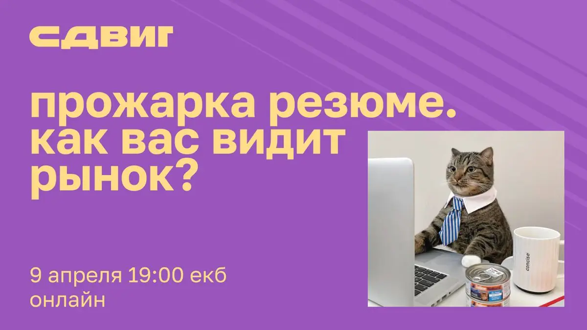 прожарка резюме 🔥🔥 | Сетка — социальная сеть от hh.ru