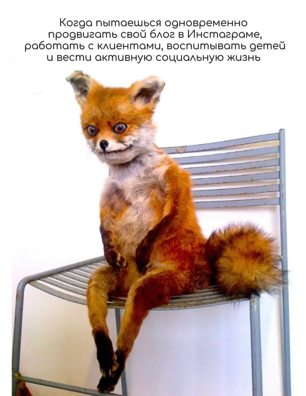 Меня последнее время многие спрашивают , как я это все успеваю, ну вот как-то так 😂😂😂
Всем доброго утра и прекрасного дня ! 🌸🐣 | Сетка — социальная сеть от hh.ru