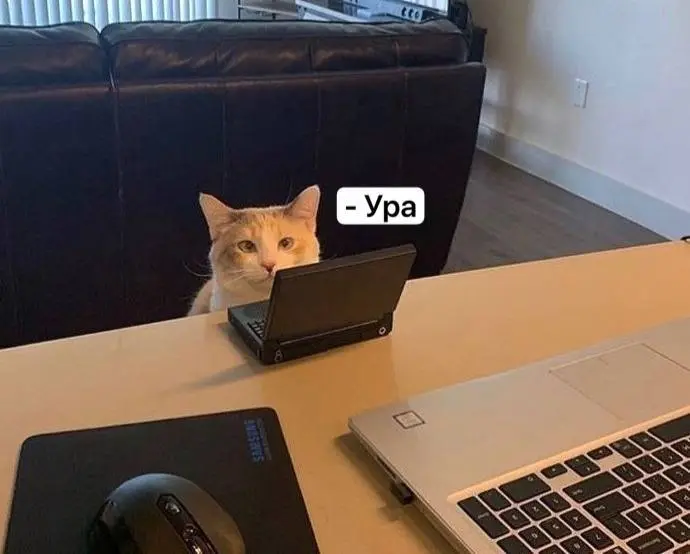 А еще сегодня международный День веселья на работе
Не забудьте сообщить начальнику
🔴 Подписаться | Прислать новость
В этом посте были ссылки, но мы их удалили по правилам Сетки | Сетка — социальная сеть от hh.ru