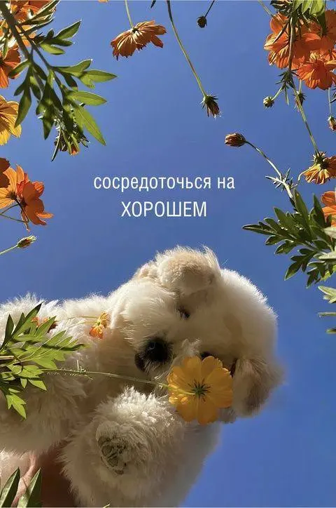 🌥Доброе утро, Москва!
Сегодня в столице облачно с прояснениями, +7…⁠+13 С⁠°, слабый восточный ветер 3-4 м⁠/⁠с | Сетка — социальная сеть от hh.ru