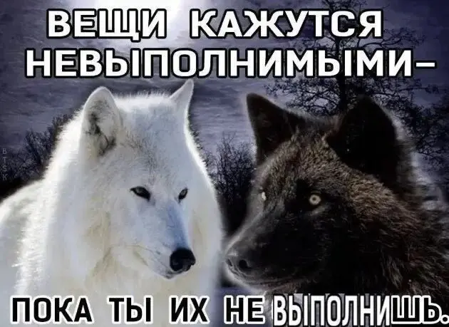 Реально!😱😁
#средныймем | Сетка — социальная сеть от hh.ru