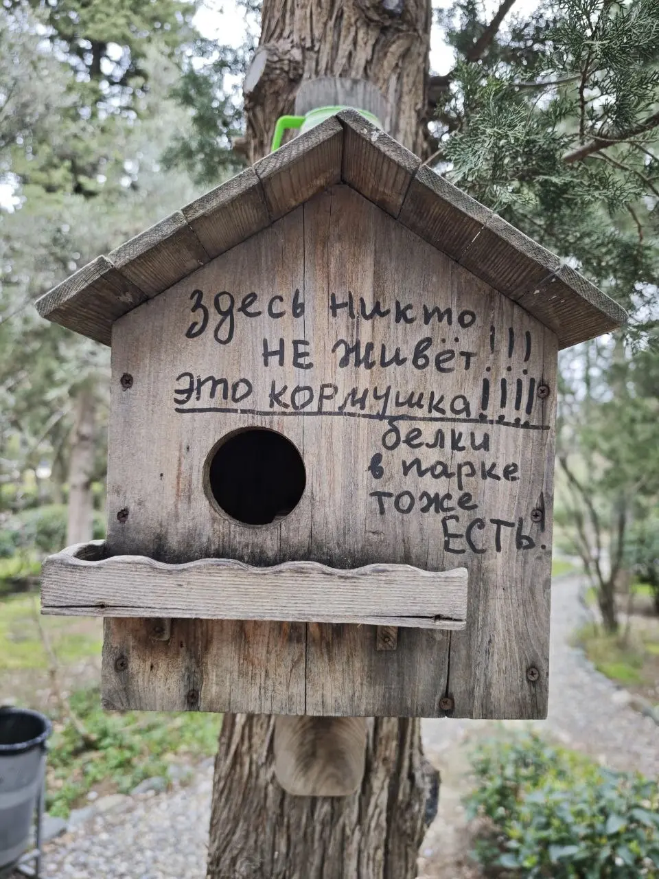 Дельфины, закрытый выход из Балаклавы и просто весна.
Мое самое любимое время в Крыму апрель и май.
Пытались выйти к дельфинам, но выход из Балаклавы был закрыт | Сетка — социальная сеть от hh.ru