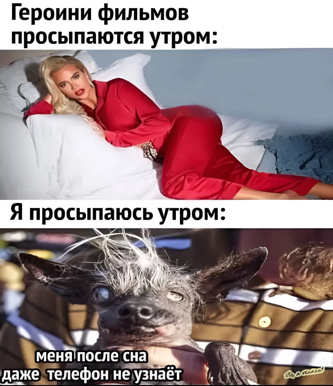 Ладно, у вас список белый.
п.с. вроде заработал бот, посмотрите плиз - живой ли розыгрыш? уже в эту субботу
#мем #online #розыгрыш
В этом посте были ссылки, но мы их удалили по правилам Сетки | Сетка — социальная сеть от hh.ru