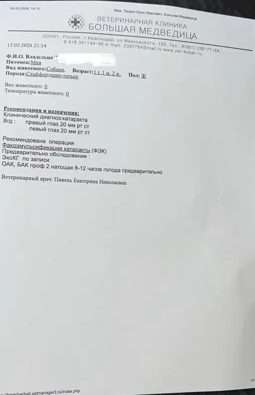 🆘 SOS! МИЯ ЖДЕТ ПОМОЩИ!
СПАСТИ ОТ УСЫПЛЕНИЯ!🆘
Порода не дает гарантию на счастливую жизнь, но мы можем её подарить!
🐶 Мия— стаффорд | Сетка — социальная сеть от hh.ru