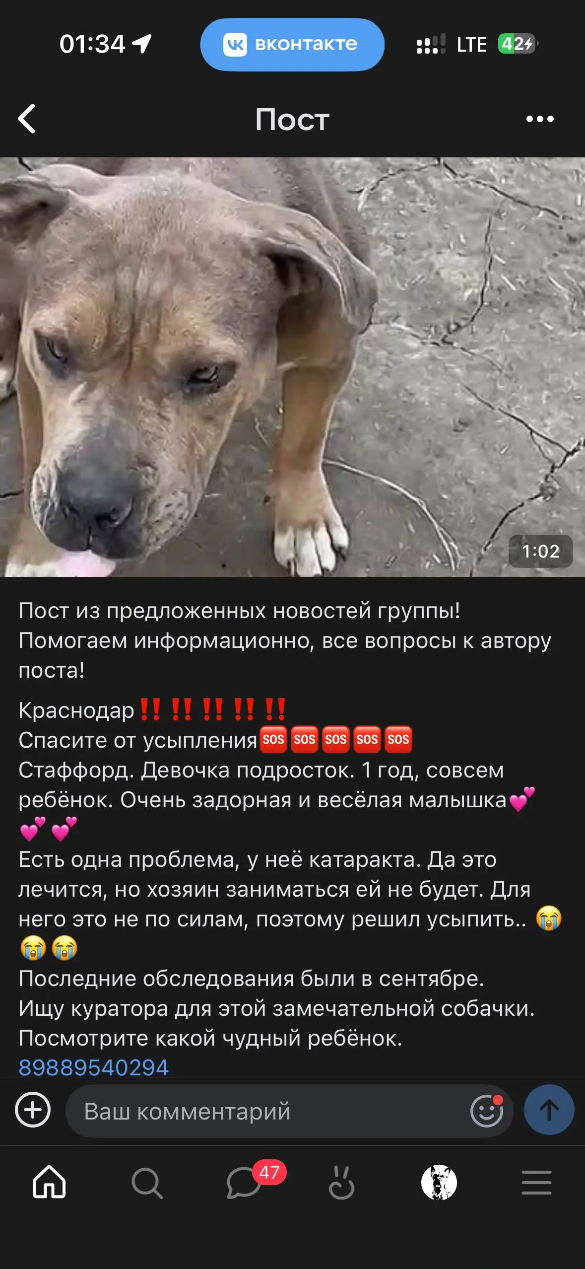 🆘 SOS! МИЯ ЖДЕТ ПОМОЩИ!
СПАСТИ ОТ УСЫПЛЕНИЯ!🆘
Порода не дает гарантию на счастливую жизнь, но мы можем её подарить!
🐶 Мия— стаффорд | Сетка — социальная сеть от hh.ru