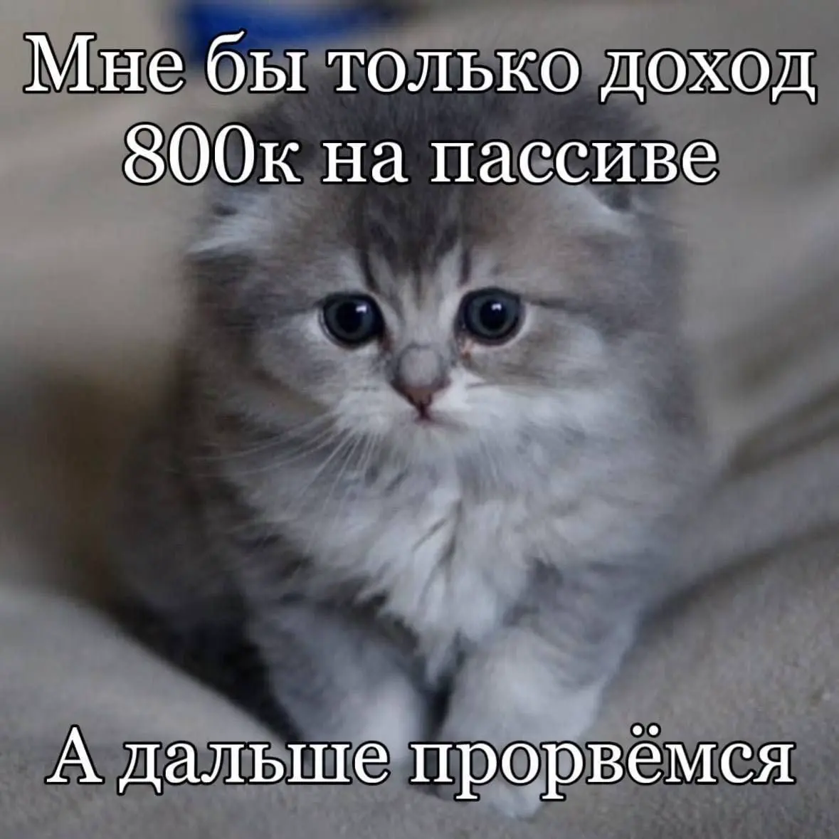 Бренд в резюме уже не решает? | Сетка — социальная сеть от hh.ru