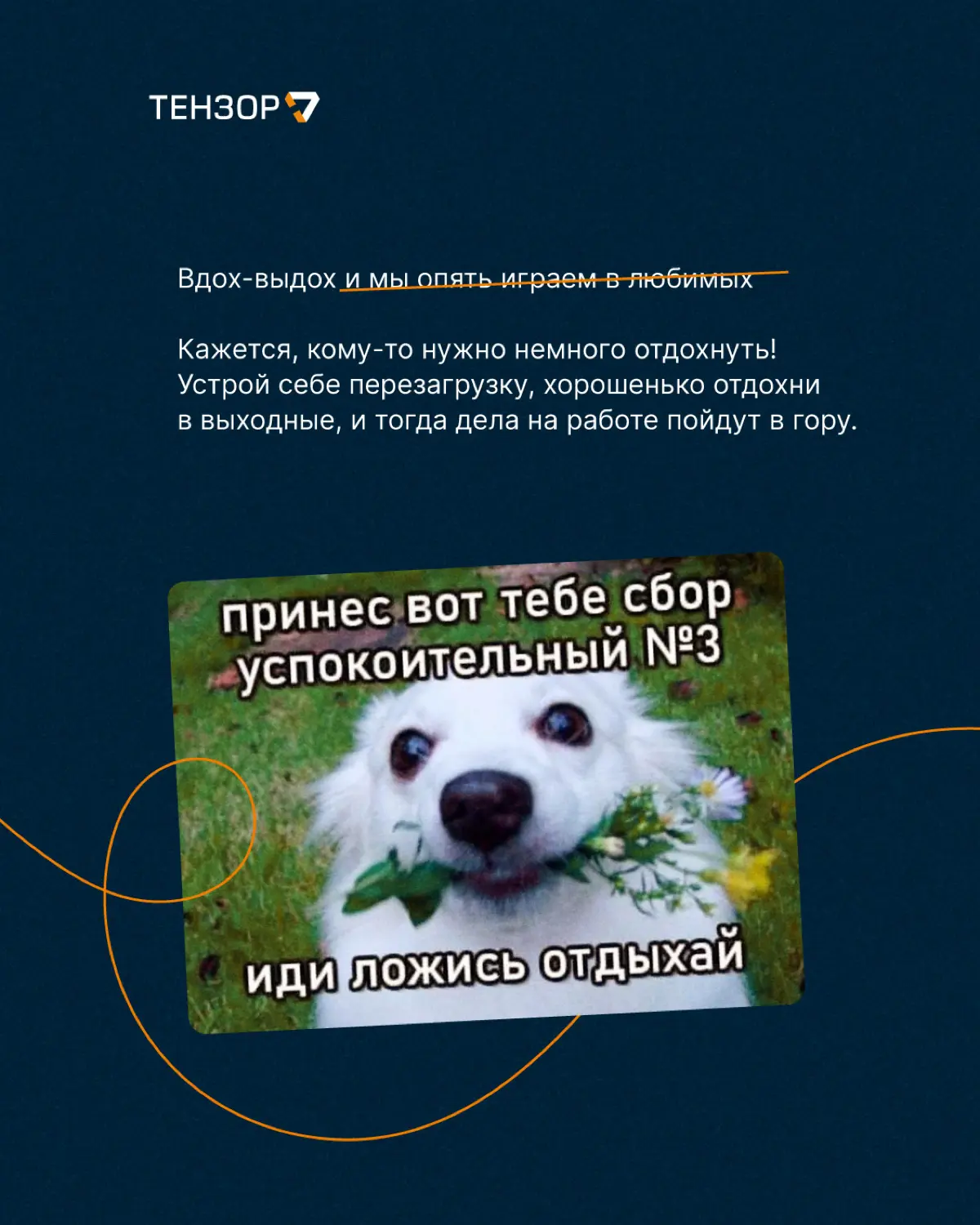 Карьерное предсказание на апрель 🔮 | Сетка — социальная сеть от hh.ru