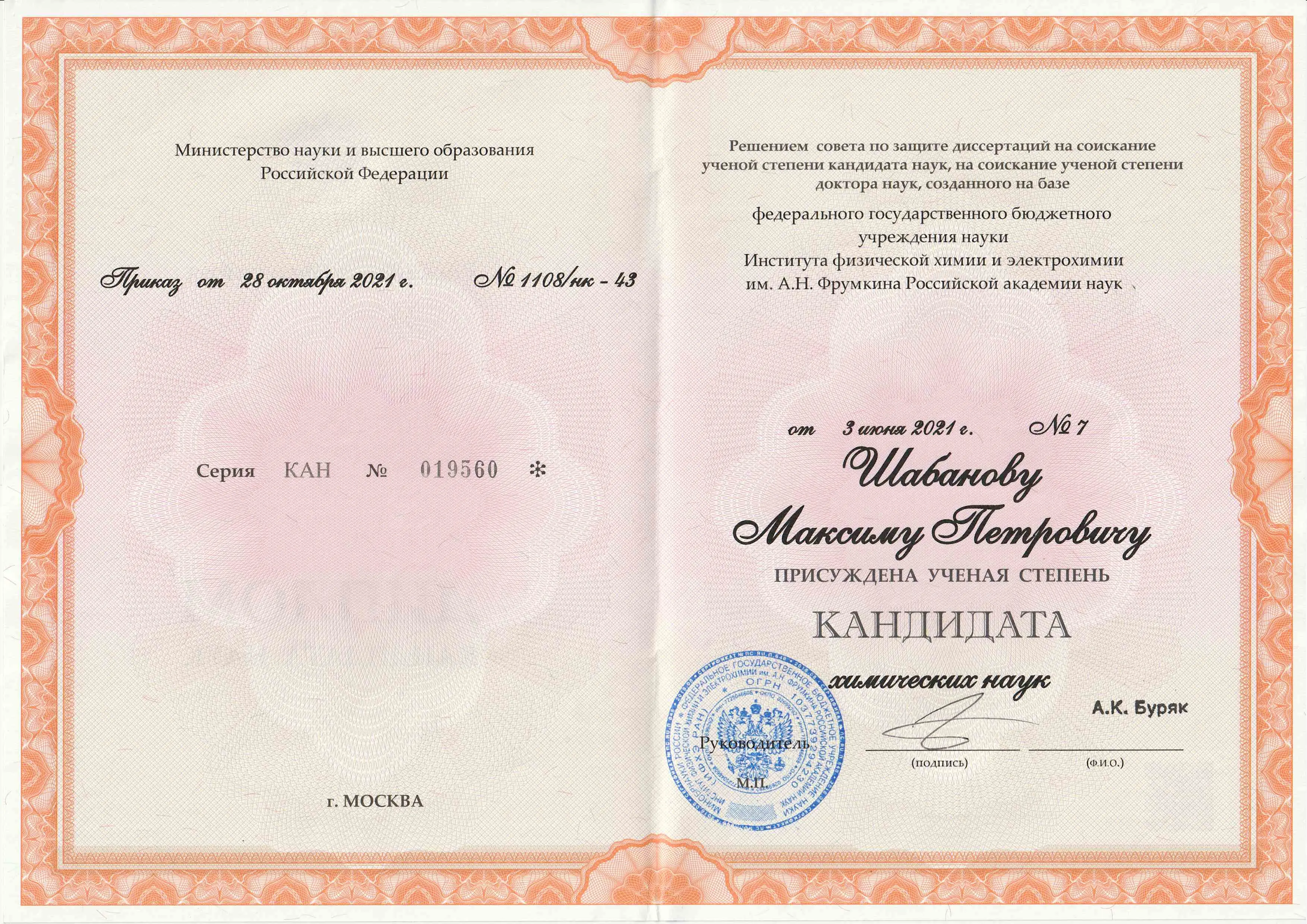 Network member avatar