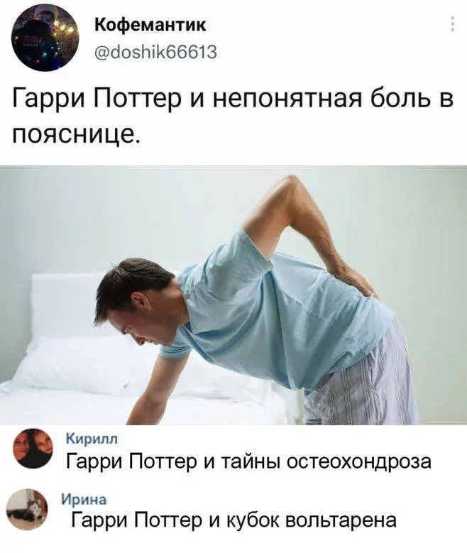 Взяли на работу аккаунтом зумера. Говорит надо tg канал сделать более лайтовым. Мемасы и все такое. Есть еще про крутого доктора голубя. 10 голубей и запощу и их. | Сетка — социальная сеть от hh.ru