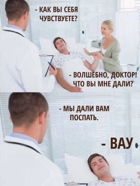 Взяли на работу аккаунтом зумера. Говорит надо tg канал сделать более лайтовым. Мемасы и все такое. Есть еще про крутого доктора голубя. 10 голубей и запощу и их. | Сетка — социальная сеть от hh.ru