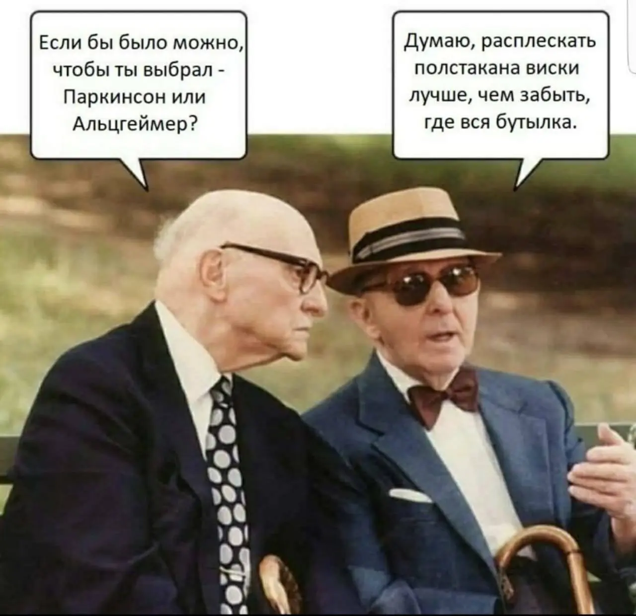 Взяли на работу аккаунтом зумера. Говорит надо tg канал сделать более лайтовым. Мемасы и все такое. Есть еще про крутого доктора голубя. 10 голубей и запощу и их. | Сетка — социальная сеть от hh.ru