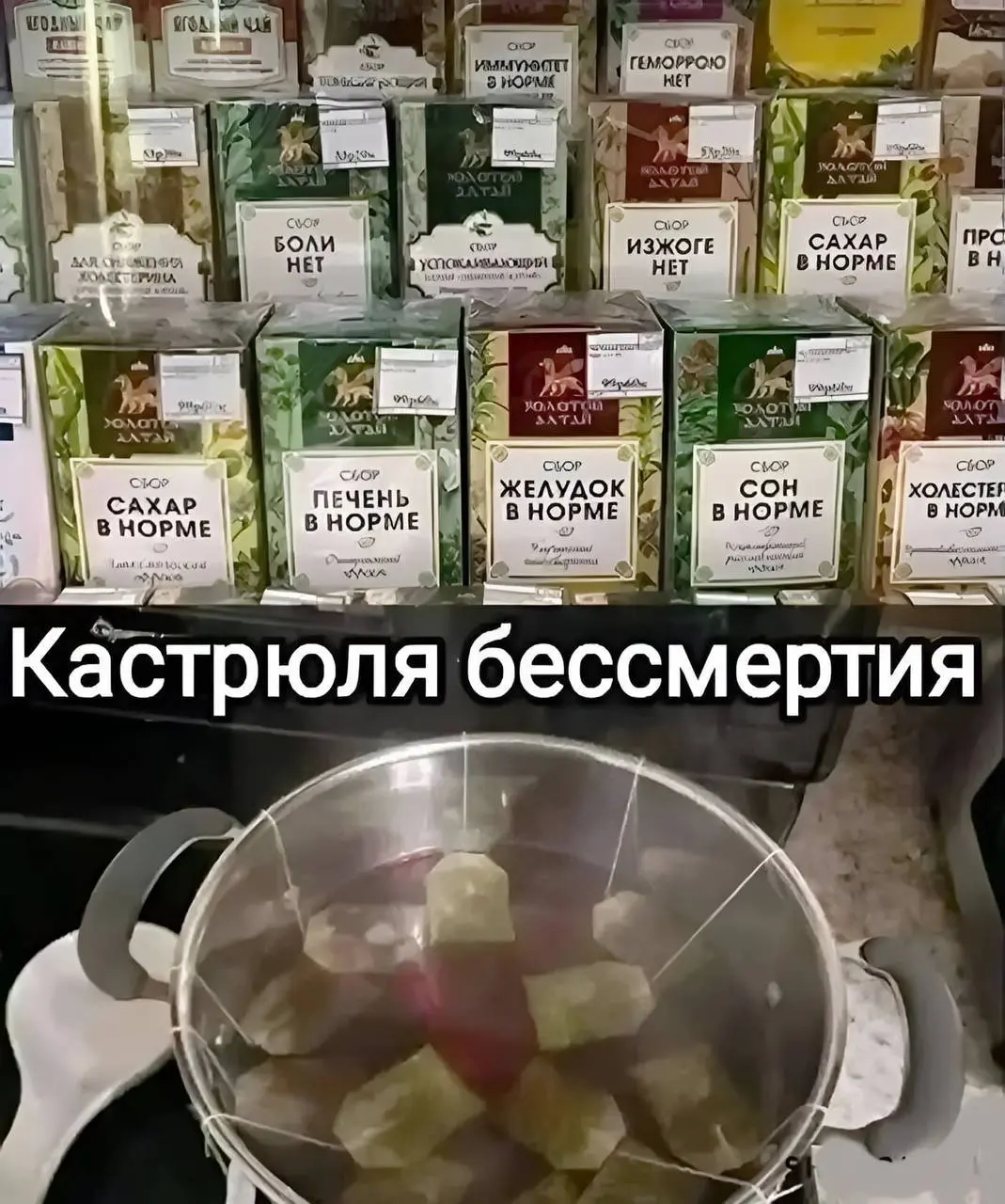 Взяли на работу аккаунтом зумера. Говорит надо tg канал сделать более лайтовым. Мемасы и все такое. Есть еще про крутого доктора голубя. 10 голубей и запощу и их. | Сетка — социальная сеть от hh.ru