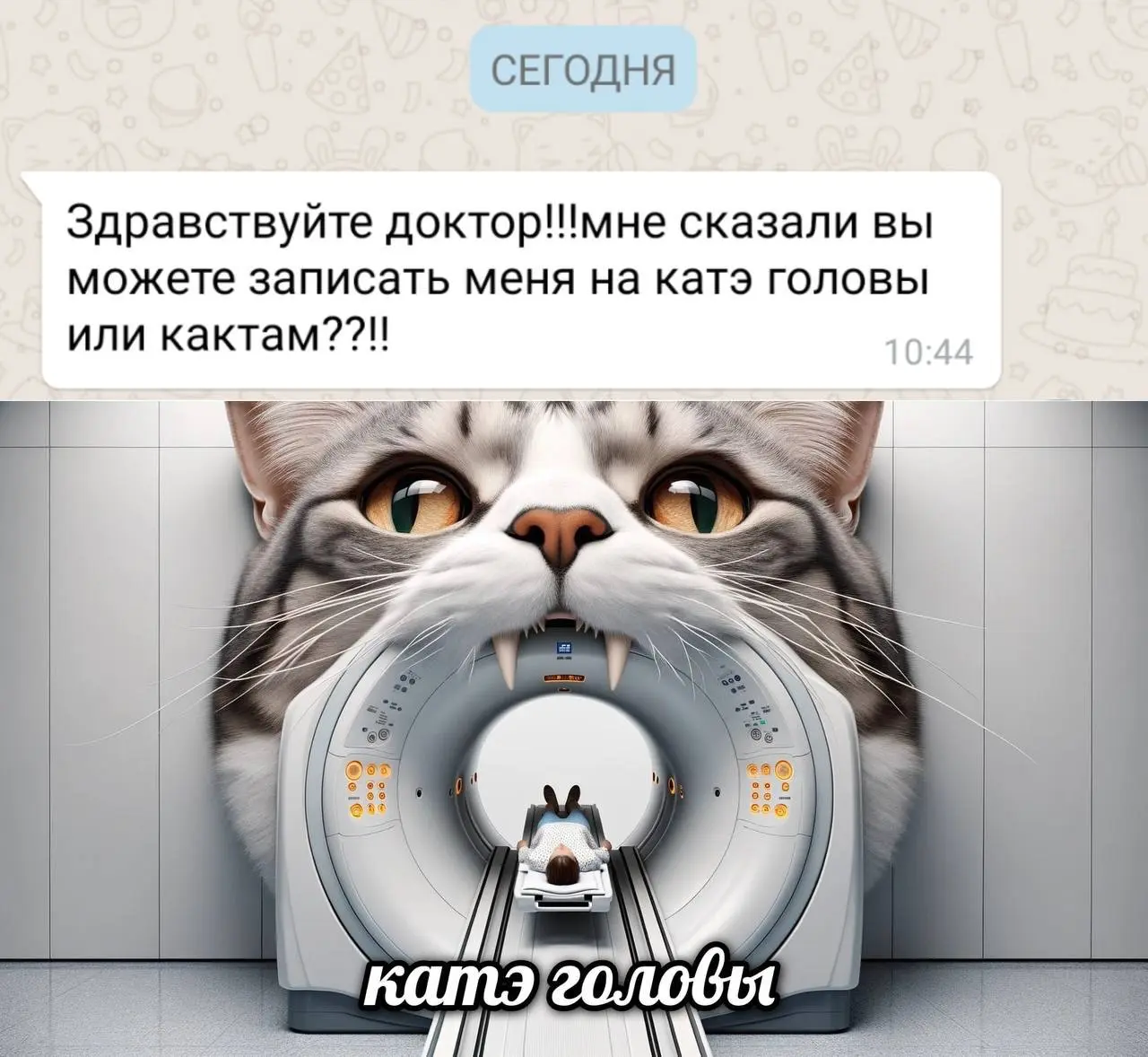 Взяли на работу аккаунтом зумера. Говорит надо tg канал сделать более лайтовым. Мемасы и все такое. Есть еще про крутого доктора голубя. 10 голубей и запощу и их. | Сетка — социальная сеть от hh.ru