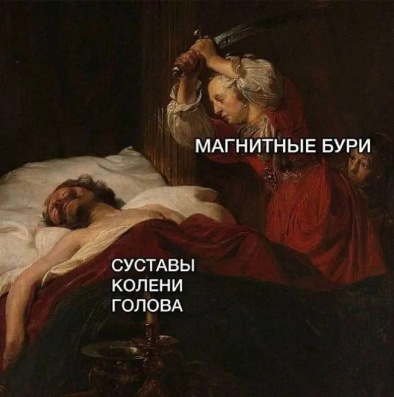 Взяли на работу аккаунтом зумера. Говорит надо tg канал сделать более лайтовым. Мемасы и все такое. Есть еще про крутого доктора голубя. 10 голубей и запощу и их. | Сетка — социальная сеть от hh.ru