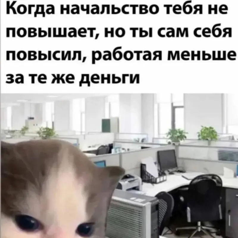 АНГЕЛИНА Швецова