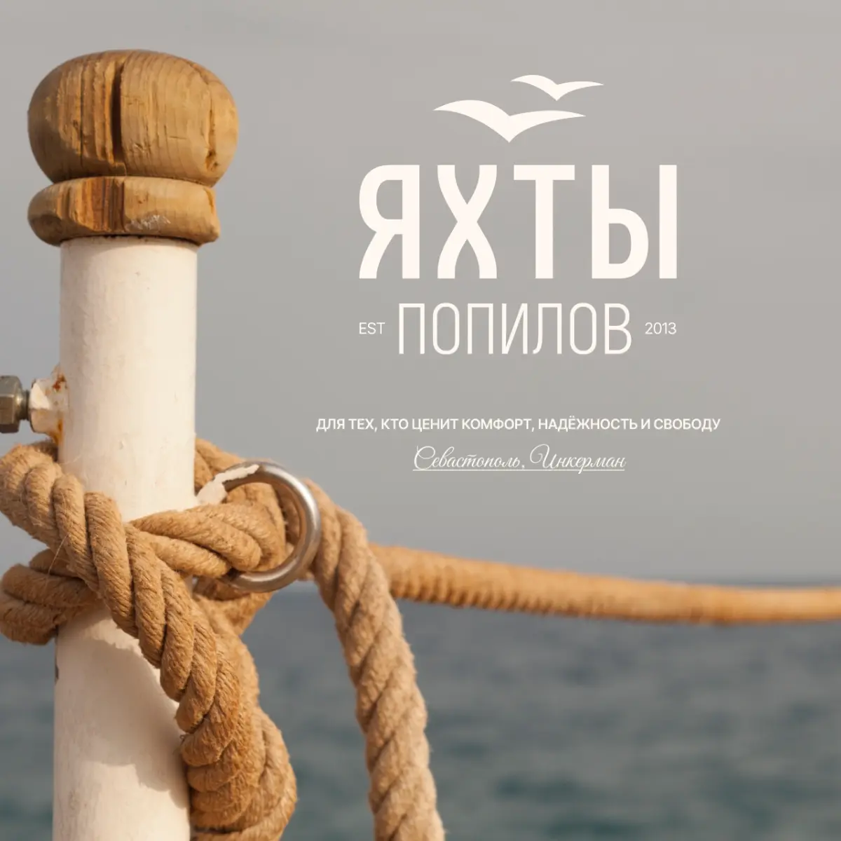 Разработала логотип, производство яхт | Сетка — социальная сеть от hh.ru