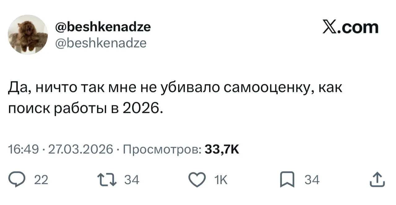 Россияне массово жалуются на сложности с поиском работы. Кандидаты с опытом месяцами не получают офферов, а на одну вакансию на HeadHunter приходятся тысячи откликов | Сетка — социальная сеть от hh.ru