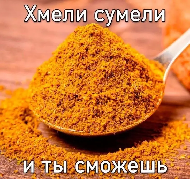 С днем юмора, коллеги!🤡 | Сетка — социальная сеть от hh.ru
