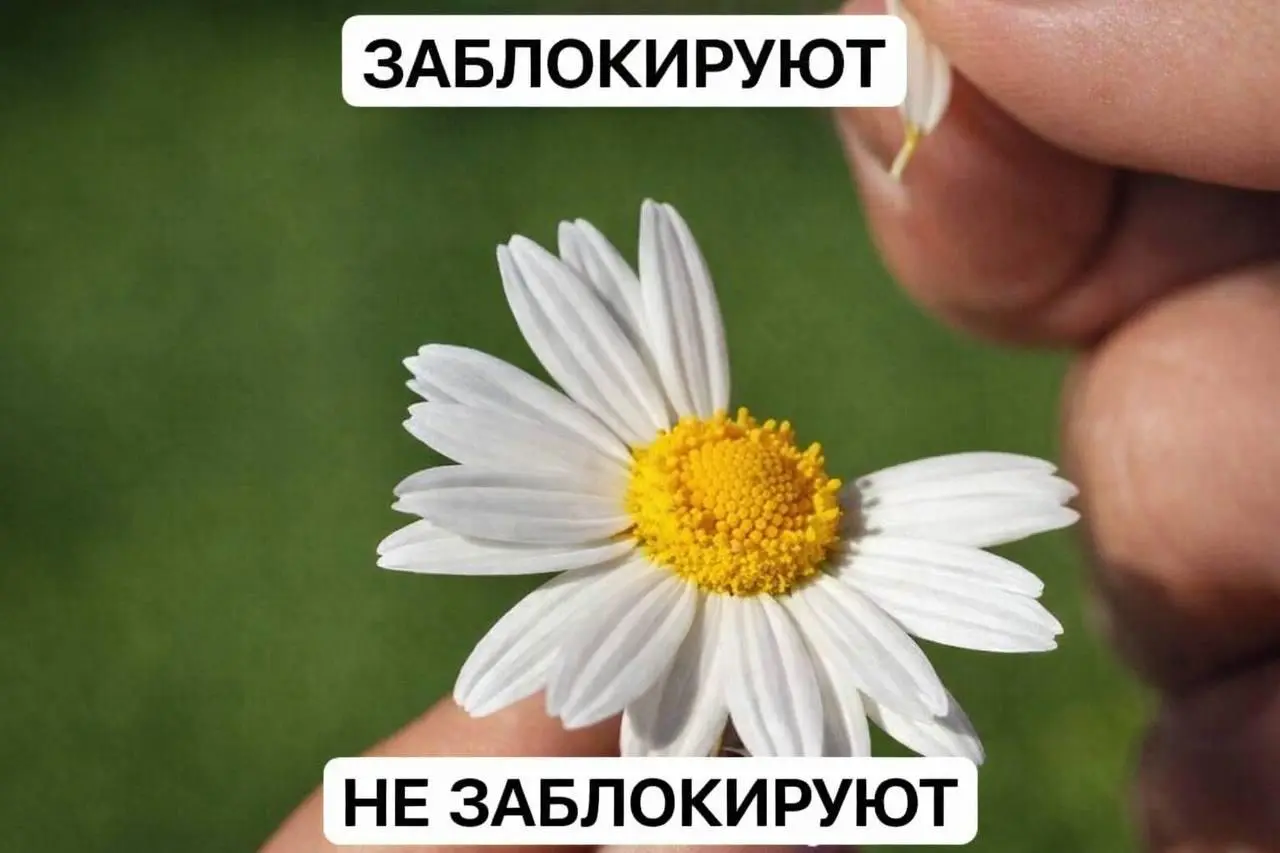 А у вас списки белые, с днем блокировки телеги 😁
Нуне могу я просто так мимо этой ситуации пройти, еще и учитывая дату, простите)
Да и с юмором как-то попроще переживать любые трудности)
Давайте погад... | Сетка — социальная сеть от hh.ru