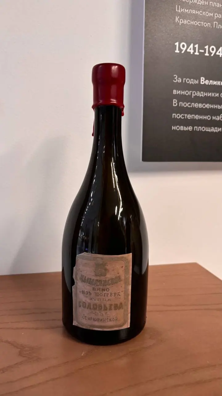 Заглянули с другом на выставку «Цимлянских вин» в Степи. Современно, атмосферно. 🍷 🖼️ | Сетка — социальная сеть от hh.ru