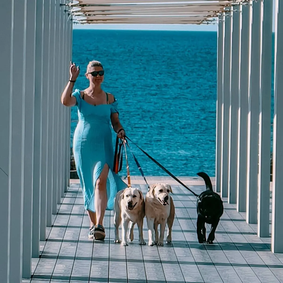 Network member avatar