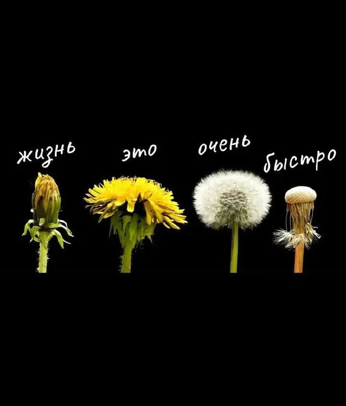 Сколько ещё вы готовы так жить?
Есть один вопрос, который мы редко задаём себе вслух, не потому что он сложный, а потому что на него неудобно отвечать | Сетка — социальная сеть от hh.ru