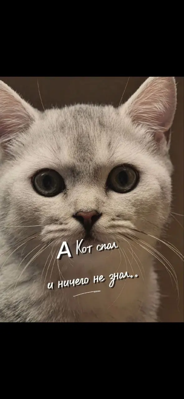 😂Я клюнула на шутку 1 апреля
☕️Утром приходит рассылка на весь Сбер с ежедневными новостями - и там новость: наконец‑то допилили ГагаЧат (это продукт Сбера) и добавили новую классную функцию - распозн... | Сетка — социальная сеть от hh.ru