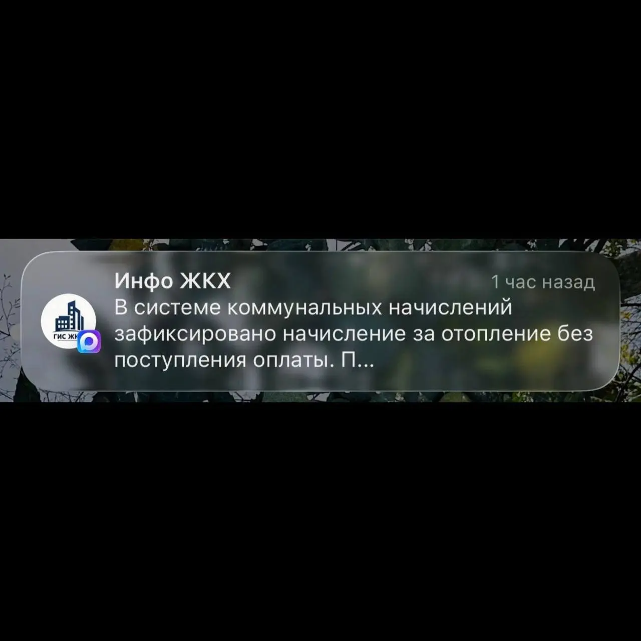 Пользователи системы MAX столкнулись с волной мошеннических атак, замаскированных под уведомления от коммунальных служб | Сетка — социальная сеть от hh.ru