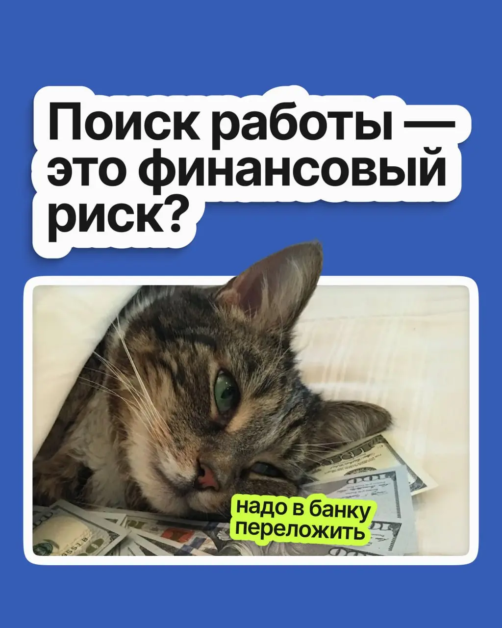 Поиск работы — это финансовый риск? | Сетка — социальная сеть от hh.ru