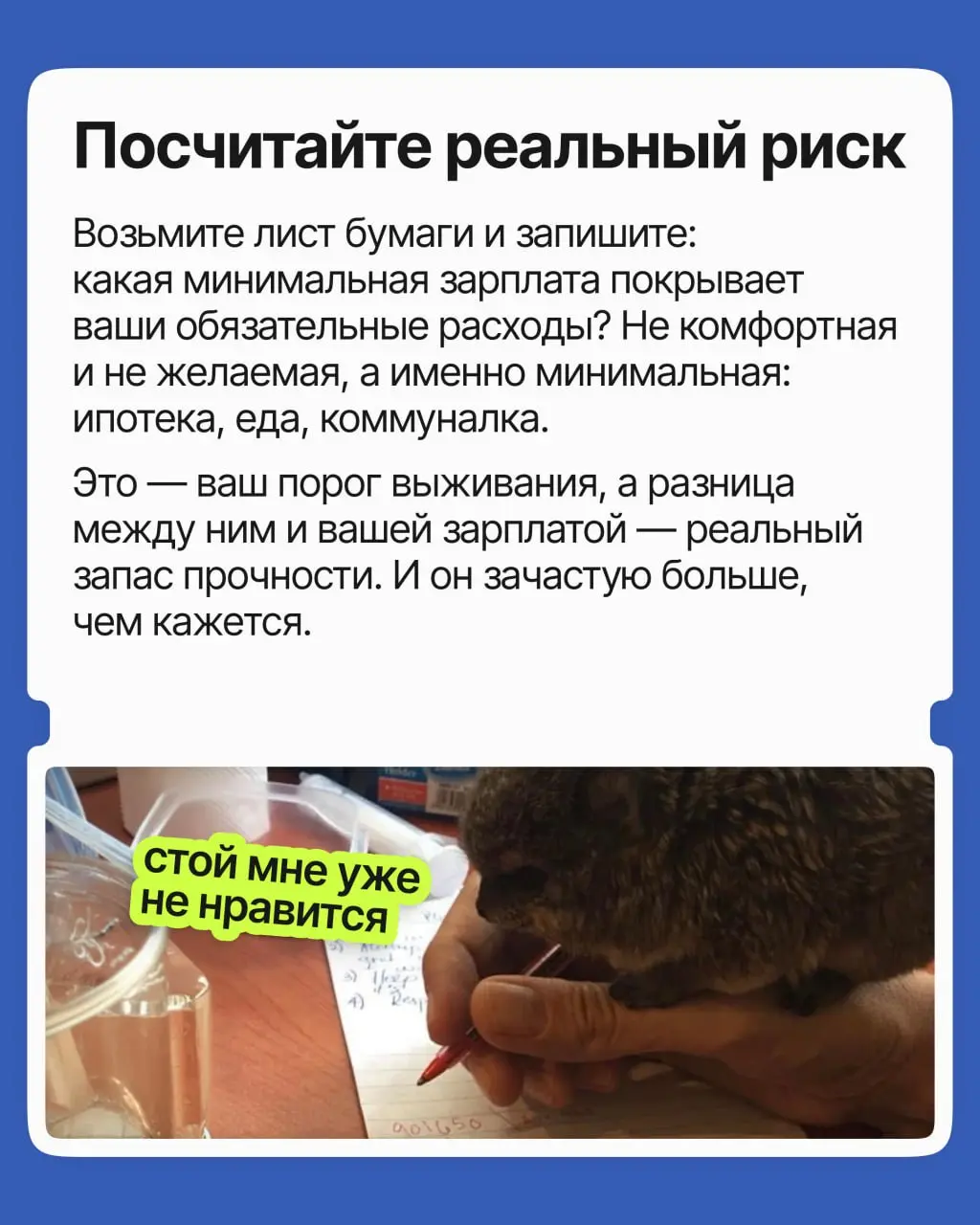 Поиск работы — это финансовый риск? | Сетка — социальная сеть от hh.ru