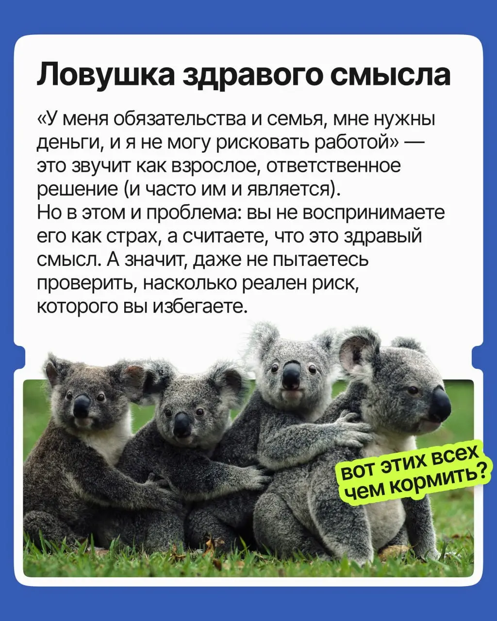 Поиск работы — это финансовый риск? | Сетка — социальная сеть от hh.ru