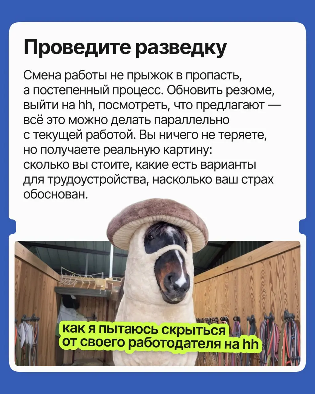 Поиск работы — это финансовый риск? | Сетка — социальная сеть от hh.ru