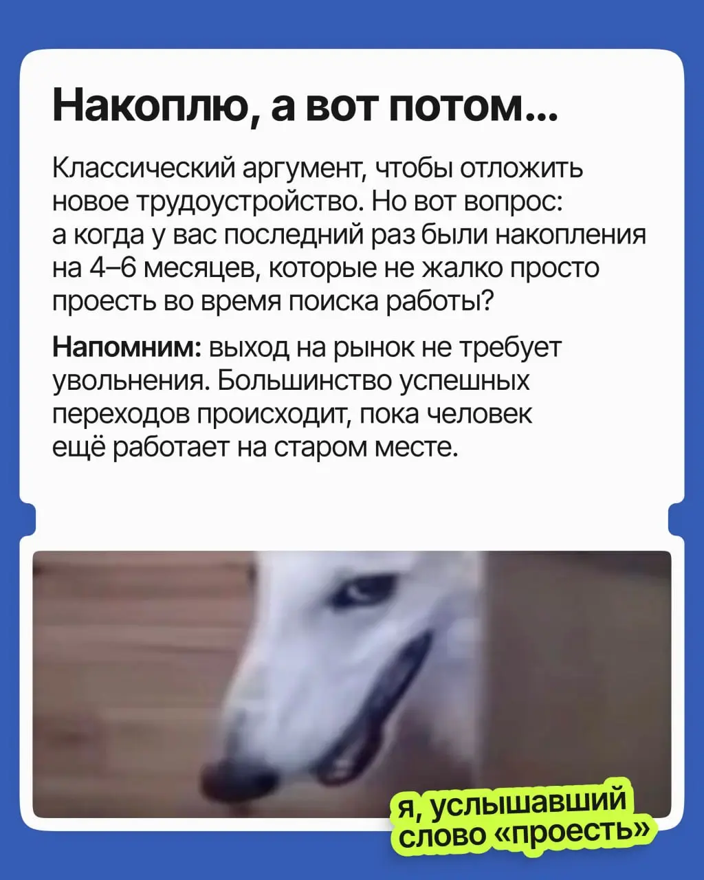Поиск работы — это финансовый риск? | Сетка — социальная сеть от hh.ru