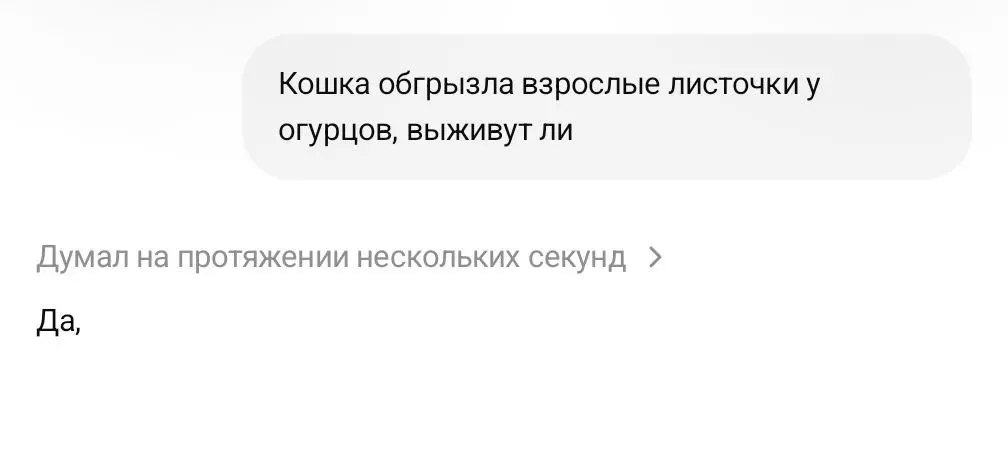 Успокоил | Сетка — социальная сеть от hh.ru